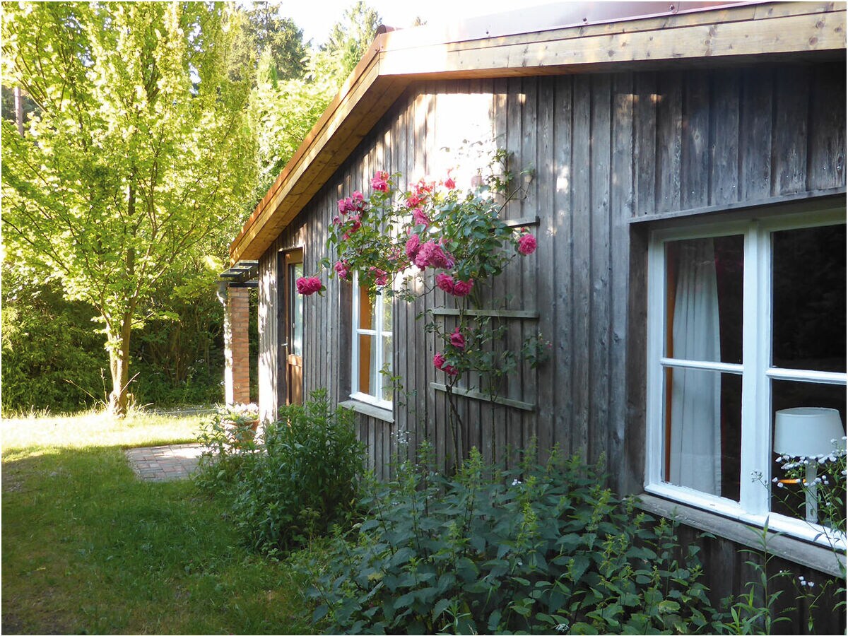 Holiday house in Mölln - Outdoor photo 3