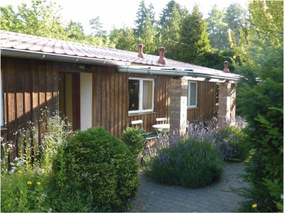 Holiday house in Mölln - Outdoor photo 6
