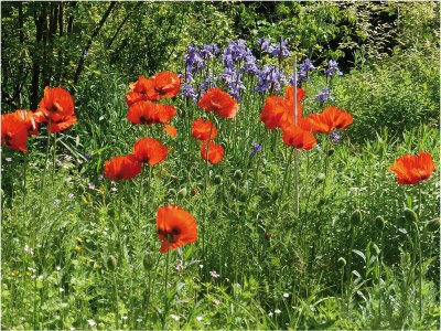 Holiday house in Mölln - Outdoor photo 8