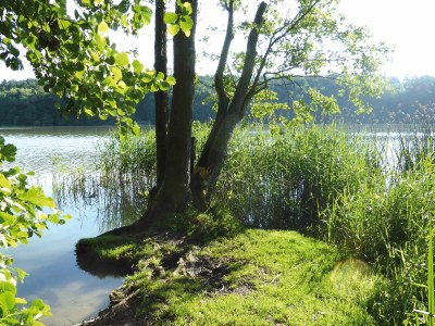 Holiday house in Mölln - Environment photo 18
