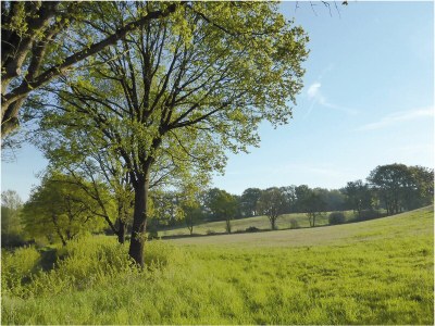 Holiday house in Mölln - Environment photo 22