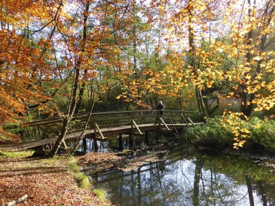 Holiday house in Mölln - Environment photo 26