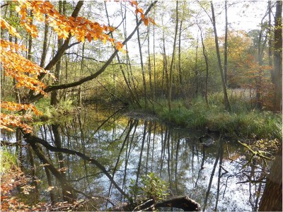 Holiday house in Mölln - Environment photo 27