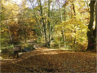 Holiday house in Mölln - Environment photo 28