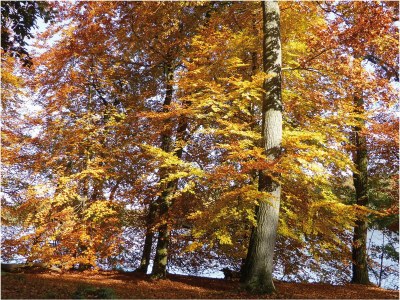 Holiday house in Mölln - Environment photo 29