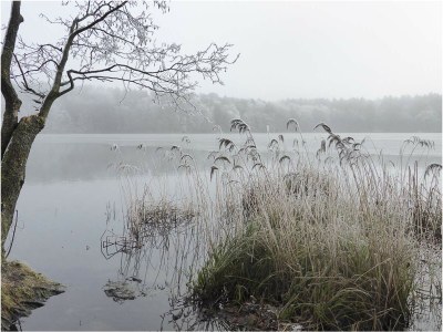 Holiday house in Mölln - Environment photo 30