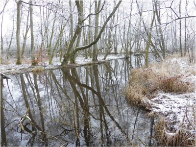 Holiday house in Mölln - Environment photo 31