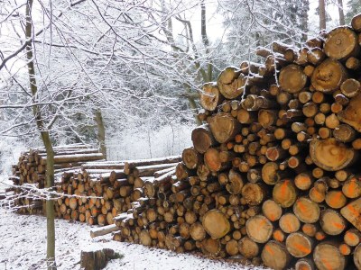 Holiday house in Mölln - Environment photo 32