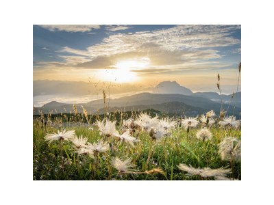 Holiday room Doppelzimmer mit Dusche od. Bad, WC mit Balkon - Outdoor photo 10