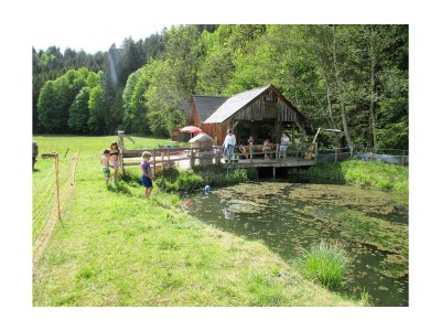 Apartment Ferienwohnung "Almhütte" - Outdoor photo 7