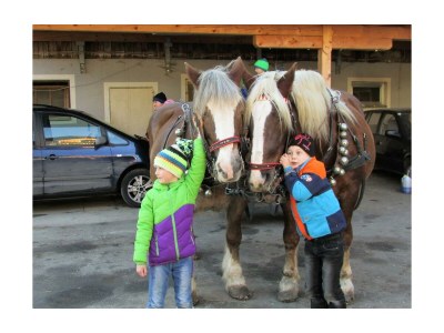 Apartment Ferienwohnung "Almhütte" - Outdoor photo 27
