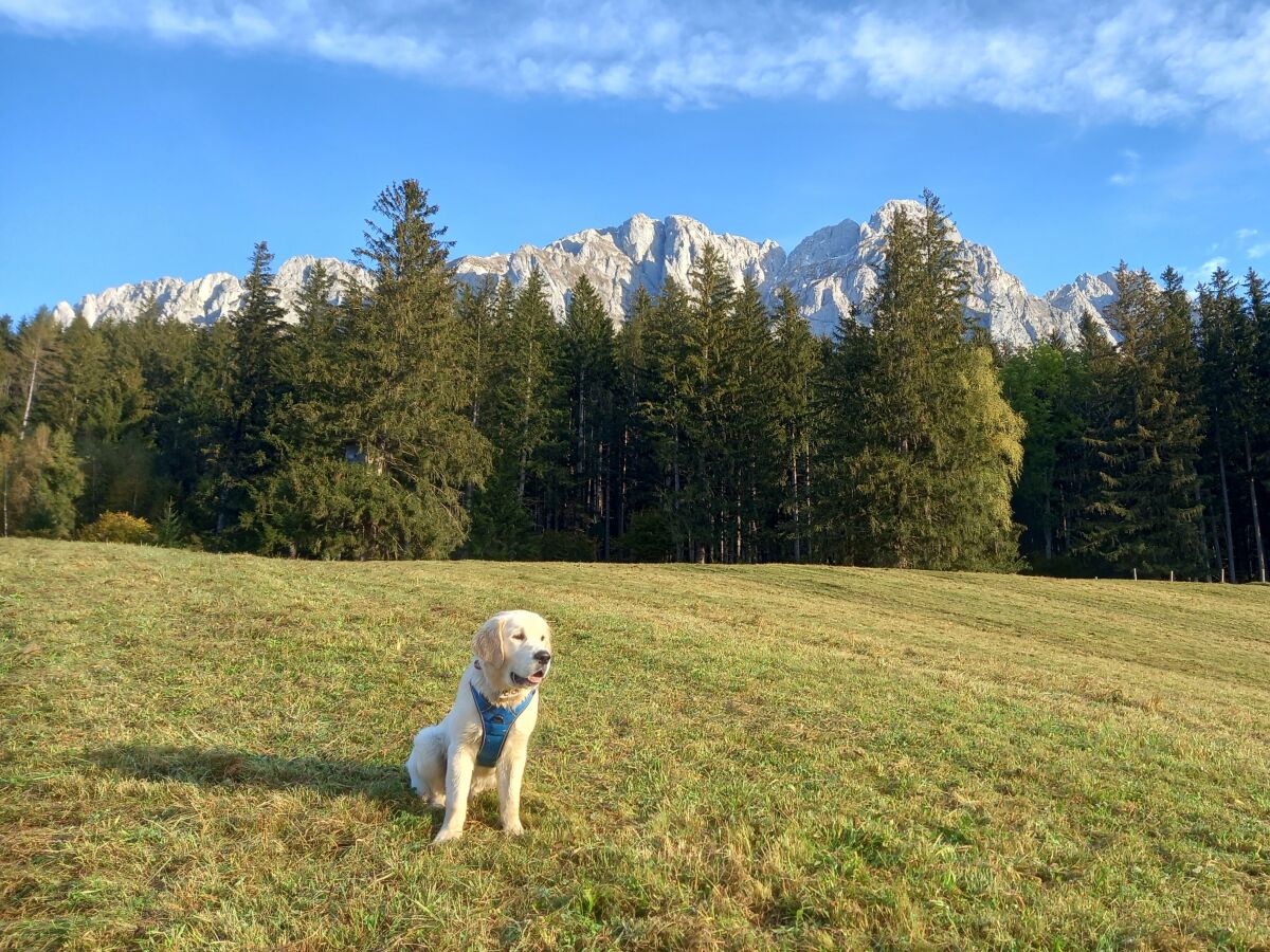 Apartment App. Gipfelblick/2 Schlafräume/Dusche, WC max.4pax - Outdoor photo 2