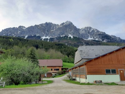 Apartment App. Gipfelblick/2 Schlafräume/Dusche, WC max.4pax - Outdoor photo 3