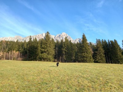 Apartment App. Gipfelblick/2 Schlafräume/Dusche, WC max.4pax - Outdoor photo 8