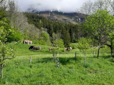 Apartment App. Gipfelblick/2 Schlafräume/Dusche, WC max.4pax - Outdoor photo 15