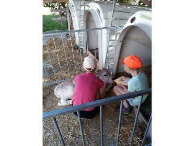 Apartment App. Gipfelblick/2 Schlafräume/Dusche, WC max.4pax - Outdoor photo 22