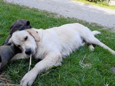 Apartment App. Gipfelblick/2 Schlafräume/Dusche, WC max.4pax - Outdoor photo 23