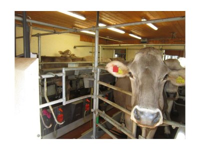 Apartment App. Gipfelblick/2 Schlafräume/Dusche, WC max.4pax - Outdoor photo 24