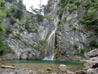Apartment App. Gipfelblick/2 Schlafräume/Dusche, WC max.4pax - Outdoor photo 31