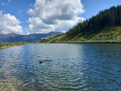 Apartment App. Gipfelblick/2 Schlafräume/Dusche, WC max.4pax - Outdoor photo 32