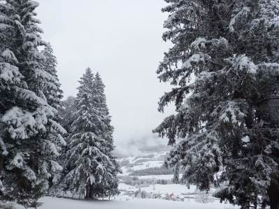 Apartment App. Gipfelblick/2 Schlafräume/Dusche, WC max.4pax - Outdoor photo 45