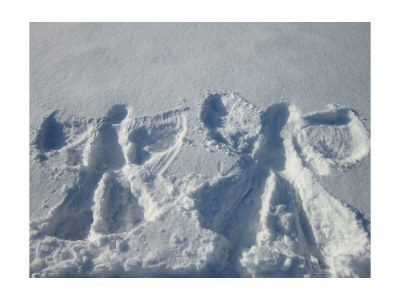 Apartment App. Gipfelblick/2 Schlafräume/Dusche, WC max.4pax - Outdoor photo 48