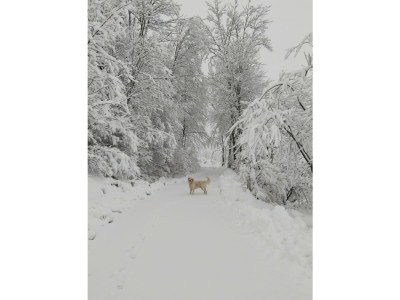 Apartment App. Gipfelblick/2 Schlafräume/Dusche, WC max.4pax - Outdoor photo 52