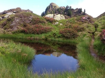 Apartment Ferienhaus/2 Schlafzimmer/1 Wohn-Schlafraum - Outdoor photo 15