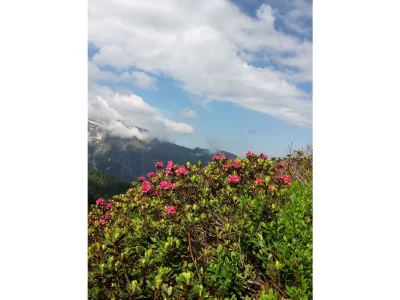 Apartment Ferienhaus/2 Schlafzimmer/1 Wohn-Schlafraum - Outdoor photo 16