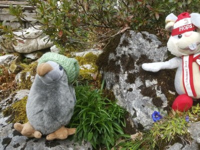 Apartment Appartement "Doreen" - Outdoor photo 21