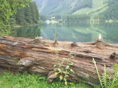 Apartment Appartement Luca - Outdoor photo 12