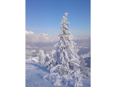 Apartment Appartement Luca - Outdoor photo 32