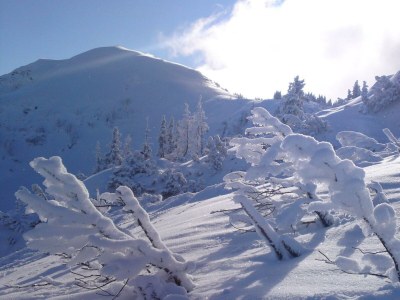 Apartment Appartement "Gerald" - Outdoor photo 39