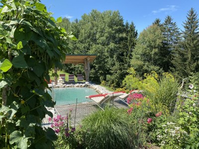 Apartment Appartement MARIO - Outdoor photo 21