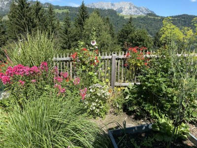 Apartment Appartement MARIO - Outdoor photo 23