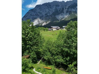 Apartment Apartment Stoderzinken plus - Outdoor photo 19