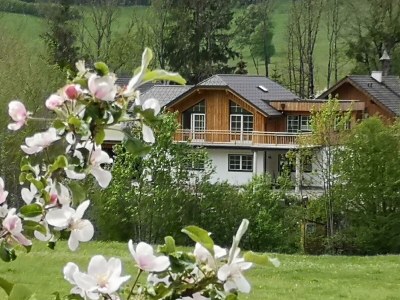 Apartment Apartment Stoderzinken plus - Features photo 35