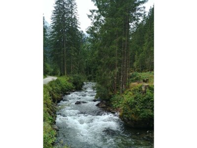 Holiday room Doppelzimmer Nr. 2, Dusche, WC - Outdoor photo 26