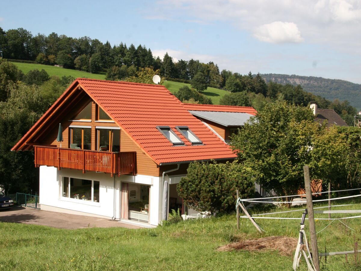 Holiday apartment in Vacation house "Gunzenbach", Baden-Baden - Outdoor photo 3