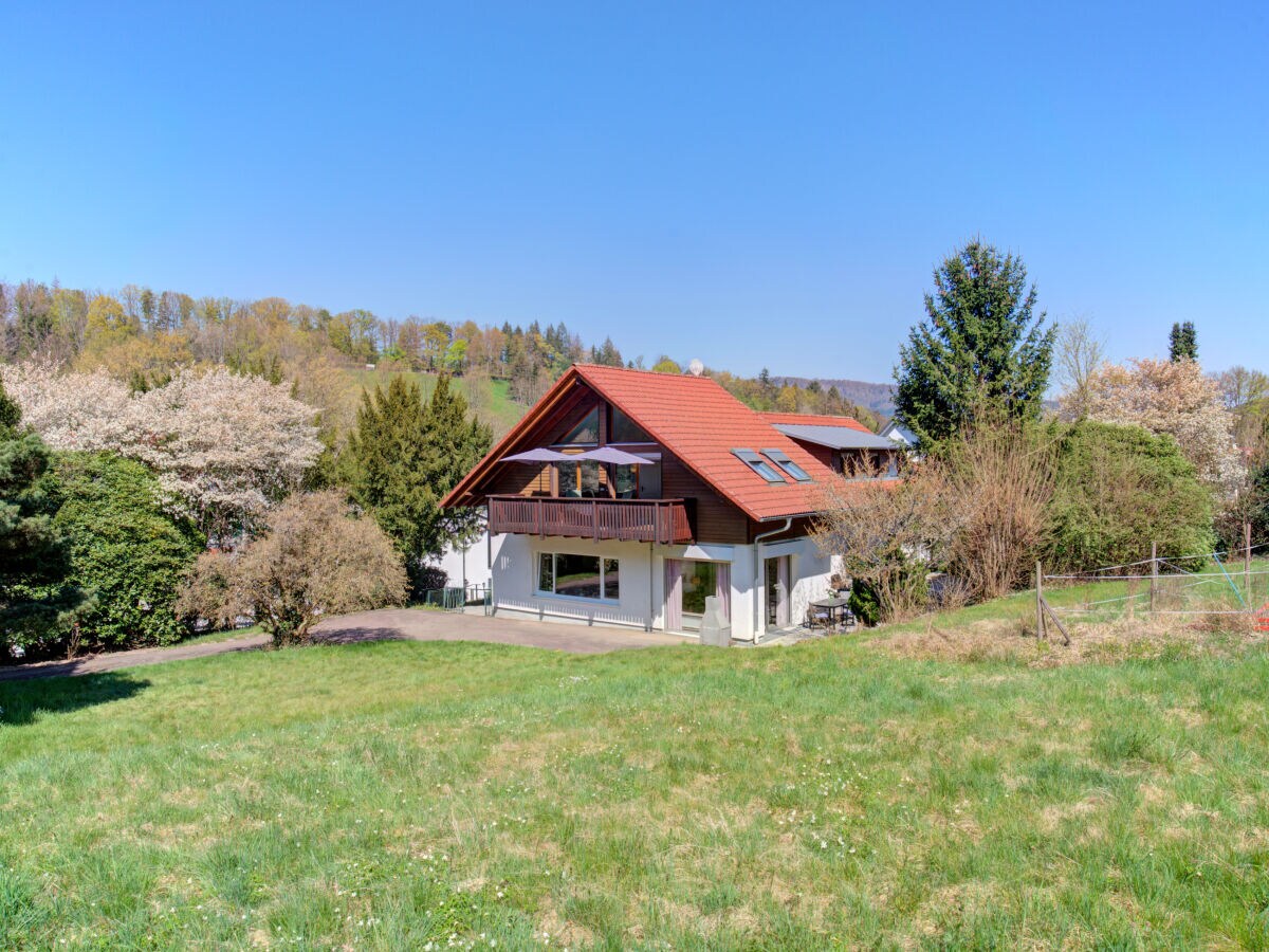 Holiday apartment in Vacation house "Gunzenbach", Baden-Baden - Outdoor photo 4