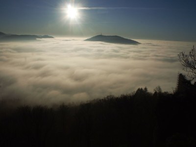 Holiday apartment in Vacation house "Gunzenbach", Baden-Baden - Environment photo 24