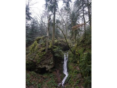 Holiday apartment in Vacation house "Gunzenbach", Baden-Baden - Environment photo 25