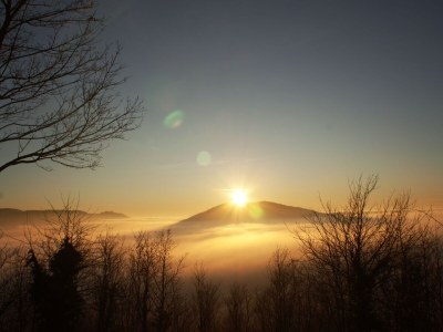 Holiday apartment in Vacation house "Gunzenbach", Baden-Baden - Environment photo 26