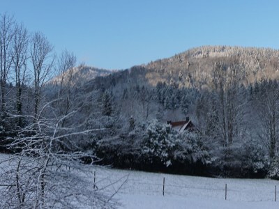 Holiday apartment in Vacation house "Gunzenbach", Baden-Baden - Environment photo 27