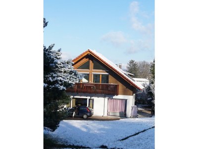 Holiday apartment in Vacation house "Gunzenbach", Baden-Baden - Environment photo 28