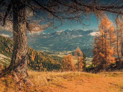 Apartment Landhaus Appartement 1, 100m² 4-8 Personen - Outdoor photo 45