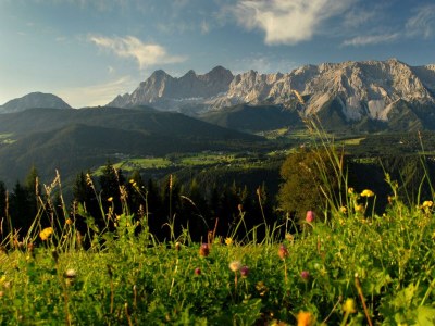 Apartment Landhaus Appartement 1, 100m² 4-8 Personen - Outdoor photo 46