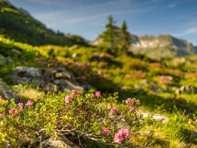 Apartment Landhaus Appartement 1, 100m² 4-8 Personen - Outdoor photo 47