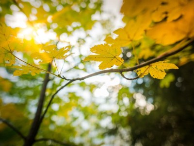 Apartment Landhaus Appartement 2, 100m² 4-8 Personen - Outdoor photo 13