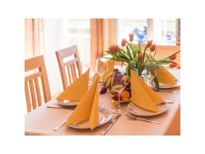 Apartment Landhaus Appartement 2, 100m² 4-8 Personen - Features photo 58